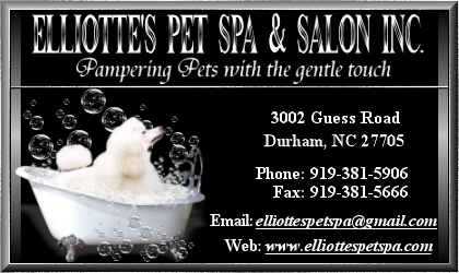Site Banner